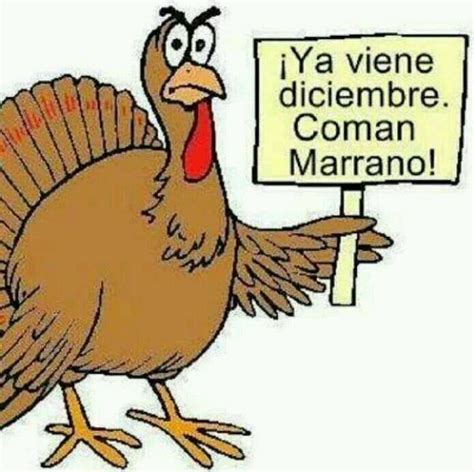 memes del pavo